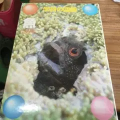 魚　図鑑　学研　学研の図鑑