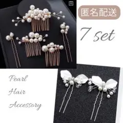 Item thumbnail for item 0ebb65cc-b462-4030-9cdb-eafac13eead9