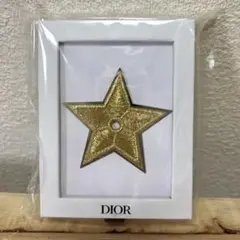 DIOR ノベルティーピンバッチ