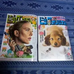 ビッグコミック 、ビッグコミックオリジナル　２冊