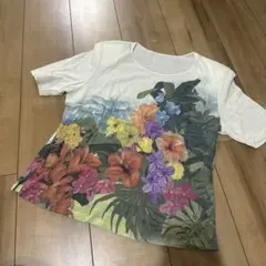 【chamois】デザイントップス