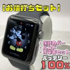 【お値打ちセット】BT100％ 42mm S3 保護カバー＋バンド＋充電器セット