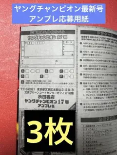 ★えなこ★ヤングチャンピオン最新号 アンケート&プレゼント応募用紙3枚