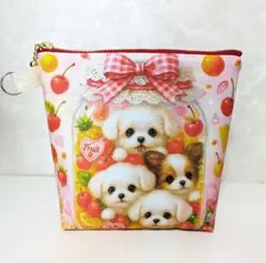 ✨️新柄✨️❣️保冷ポーチ　マルチーズFruity Jar②　マチ付きポーチ
