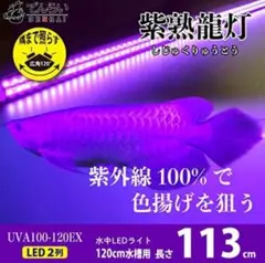 水中ライト　MMC企画　マジックアロワナLED 120cm用 金龍の鱗を美しく照らす！ピンクゴールドの水中アロワナライト