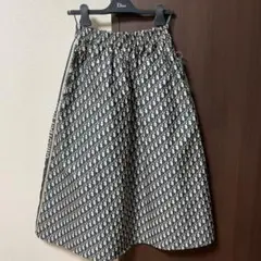 dior ディオール スカート オブリーク