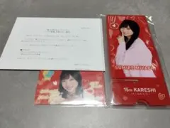 Item thumbnail for item f9fc5df8-c35a-44df-9e8c-7282c2a234a2