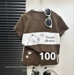 キッズ Tシャツ パンツ 上下セット ブラウン おしゃれ かわいい 100 新品