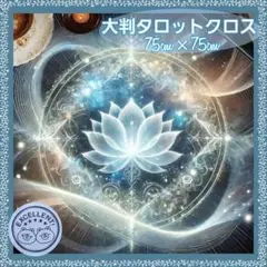 Item thumbnail for item 42c36e49-0602-41d5-8562-a999f7931568