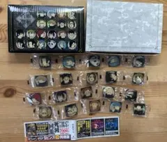 呪術廻戦 20巻 特製ピンズ20個付き同梱版（グッズのみ）
