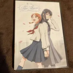 青い花 DVD (北米盤3枚組) Sweet Blue Flowers