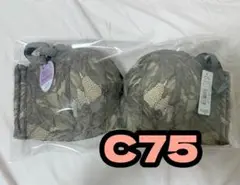 Item thumbnail for item c1b0d2f6-bd36-4415-bf69-07fd25d93fc9