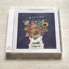 Hello Hello blooms
