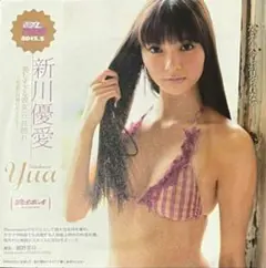 【新品未開封】新川優愛 週刊プレイボーイNo.42 付録DVD