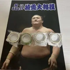 元 勢関 春日山 襲名 披露大相撲 パンフ マステ
