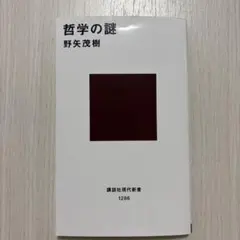 哲学の謎 野矢茂樹 講談社現代新書