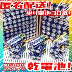 東芝アルカリ乾電池 単4/30本