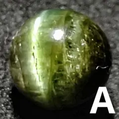 Item thumbnail for item f768d206-3fa8-48dc-9b12-a95df40acb8f