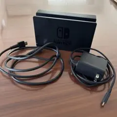 Switch 充電器