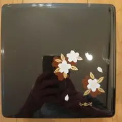 Item thumbnail for item b05cec4f-6145-4c6d-9d0c-a507e9941feb