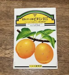 驚異のガン治療・ビタミンB17 ーアメリカで注目のガン療法最前線一 山口武津雄著