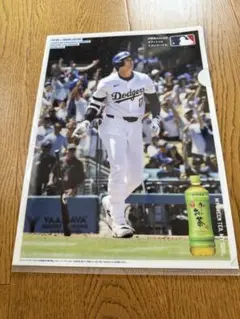 伊藤園 大谷翔平ファイル1枚