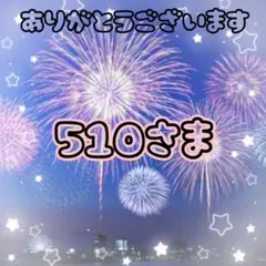 専用ページ510さま