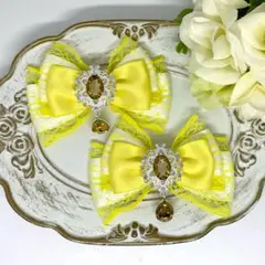 Item thumbnail for item 9c506525-4d54-412a-8284-85e5e74c5445