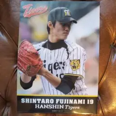 大谷翔平＆藤浪コラボ　クリアファイル+フェイスタオルセット