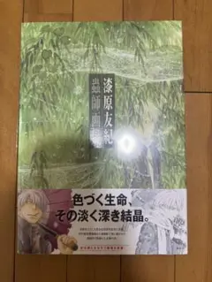 2025年最新】蟲師 画集 漆原 友紀の人気アイテム - メルカリ