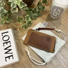 LOEWE ロエベ コインカードホルダー フラグメントケース 小銭入れミニ財布
