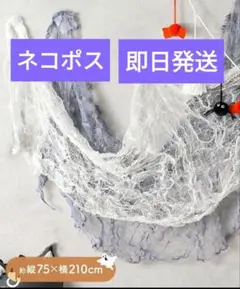 Item thumbnail for item a206efdd-a415-4490-bb00-1dad61c6b884