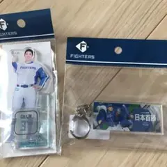 日本ハムファイターズ　日本プロ野球初勝利記念グッズ含む　2点　古林睿煬 #37