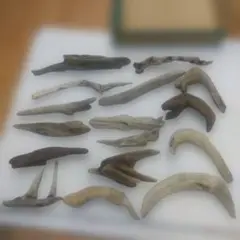 Item thumbnail for item 7325125d-e843-4bd8-b27a-65b3b2841f00