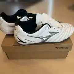 MIZUNO モナルシーダ 26センチ