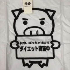 未使用　豊天商店　おもしろTシャツ　ダイエット実施中