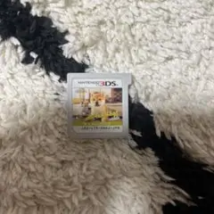 ニンテンドードッグ3DSソフト
