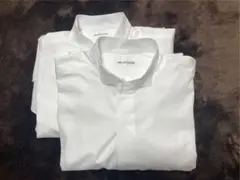 Item thumbnail for item 72982f91-41b3-4bf5-bd43-29130350d324