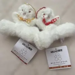 あたまてかてかちゃん マスコットBC 2種セット♡