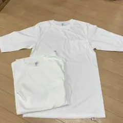 訳あり品！Velva Sheen べルバシーンホワイト Tシャツ 2枚セット