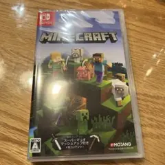 Minecraft Nintendo Switch版
