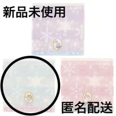 【新品】ダンシングスノーフレークス　ダッフィー　ミニタオル　東京ディズニーシー