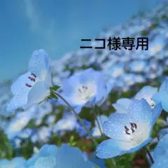 ニコ様専用