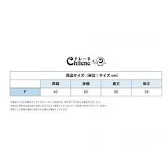 (チレーネ)Chilene レディース エスニック 花柄 切り替え 模様 バイカ