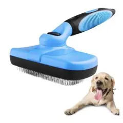 Item thumbnail for item 95954d7e-163f-4a51-ae3a-07b36f21fb0e