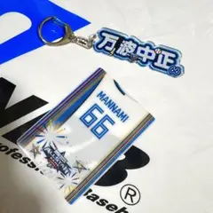 Item thumbnail for item a5ea6bf9-549a-4301-b488-07b78489af04