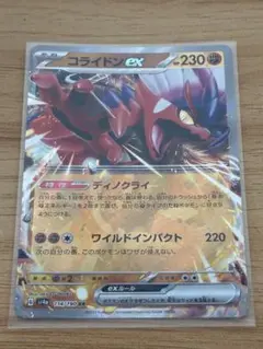 コライドンEX 1枚