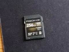 Prograde SDXCカード 256GB