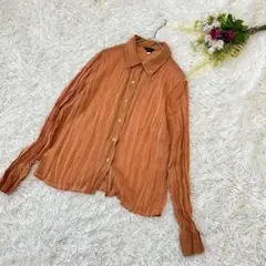 〝ile de coeurフェリシモ〟シアーシャツ　光沢カラー　日本製　シワ加工