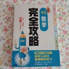 中2 数学 完全攻略 　赤シート・重要事項シート付き　値引き可能